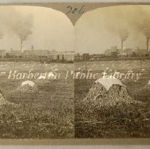 Stacks of grains in fields with Diamond Match Co.