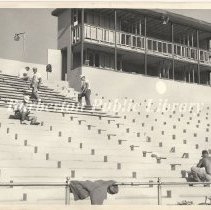 Stadium Construction