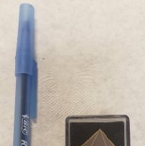 Lake Anna Concert pin