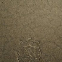 Woman in dress with flowers