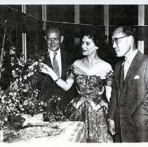 Cherry Blossom Party (1000.105.03m)