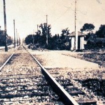 Trolley stop on Connecticut Ave. (1990.06.03-2)