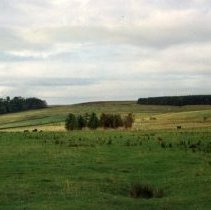 Scotland (2008.203.05)