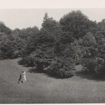 Spacious Summer Grounds (1995.06.15)