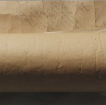 Trees and Schrubery of Chevy Chase (1000.138.15)