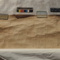 Trees and Schrubery of Chevy Chase (1000.138.16)