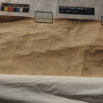 Trees and Schrubery of Chevy Chase (1000.138.17)