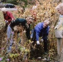 Alice in Chevy Chase Village