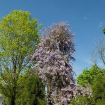 6 East Kirke Street, Chevy Chase, MD