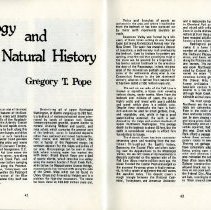 Footsteps: Historical Walking Tours