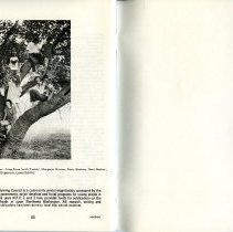 Footsteps: Historical Walking Tours