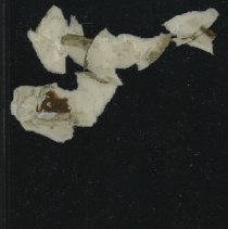 1805.025.11 - Additional Items Obverse