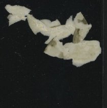 1805.025.11 - Additional Items Reverse