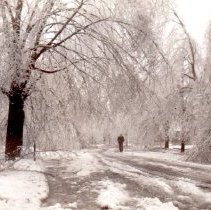 Ice storm, Jan 1937 & Dec 1949