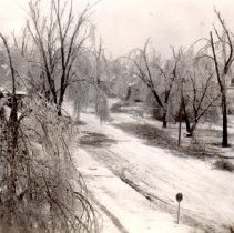 Ice storm, Jan 1937 & Dec 1949