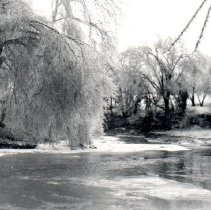 Ice storm, Jan 1937 & Dec 1949