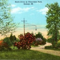 North Drive in Riverview Park