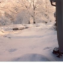 Ballard Green parking