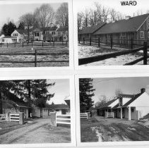 Ward Acres Farm, Peaceable Street and Golf Lane
