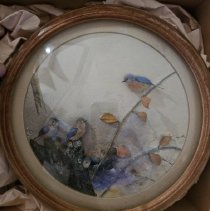 H.E.  Hervey, nature study