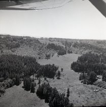 fields off Cardai Hills Rd., Woodland