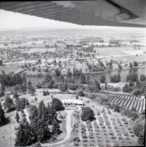 looking west into Woodland