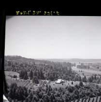 fields around big house on Cardai Hills Rd.
