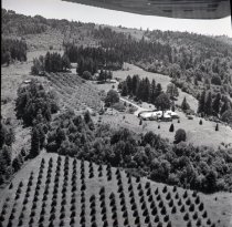 fields around big house on Cardai Hills Rd., Woodland