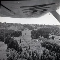 fields on Cardai Hills Rd., Woodland