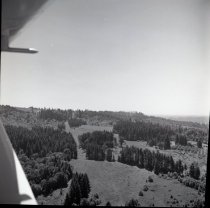 fields on Cardai Hills Rd., Woodland