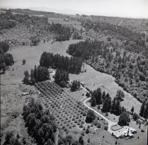 big house off Cardai Hills Rd., Woodland