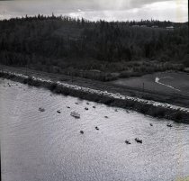 smelt dipping along Westside Hwy.