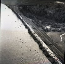 smelt dippers along Westside Hwy.