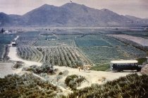 Ground searchers combing the fields of Palomares looking for the missing #4