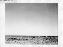 Tanks in 100 T Crater Area