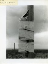 Flash Bomb to Illuminate Cloud