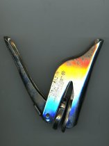 Sitizen's Courthouse Committee Seal