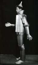 Buddy Ebsen as Tin Man