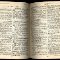 Llyfr Job/ Book of Job