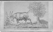 The Unknown Beauty - Where Is She?