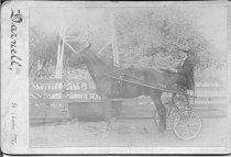 Man in a sulky with horse.  In front of a fence with a water tower base in back.