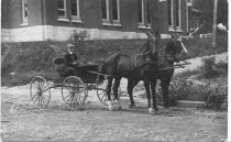 Man in buggy with team of horses 1910 - 1925