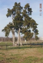 Hatcher Cemetery - Lake St. Louis