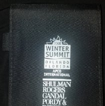 APCO Notepad Winter Summit 2008