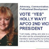 2nd Vice President Candidacy - Holly Wayt
