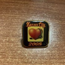 Kansas 2008 Pin