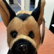 Kato - Daytona Beach Airport Security K9 Officer