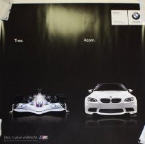 Tree. Acorn. BMW M Poster