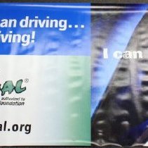 Street Survival Banner - blue girl