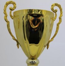 Daytona 1st place trophy